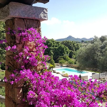 מונטי Agriturismo Desole מראה חיצוני תמונה