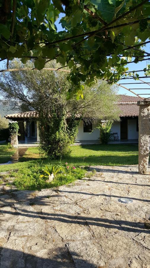 מונטי Agriturismo Desole מראה חיצוני תמונה