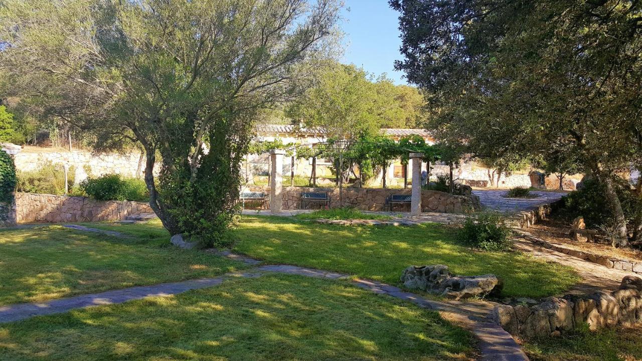 מונטי Agriturismo Desole מראה חיצוני תמונה