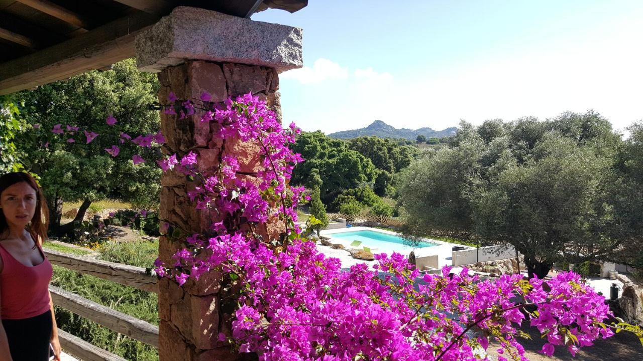 מונטי Agriturismo Desole מראה חיצוני תמונה
