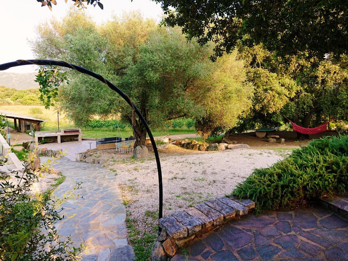 מונטי Agriturismo Desole מראה חיצוני תמונה