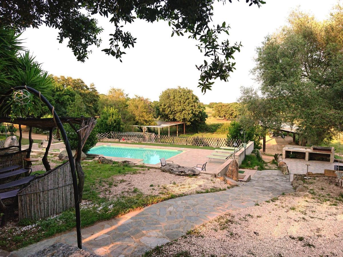 מונטי Agriturismo Desole מראה חיצוני תמונה
