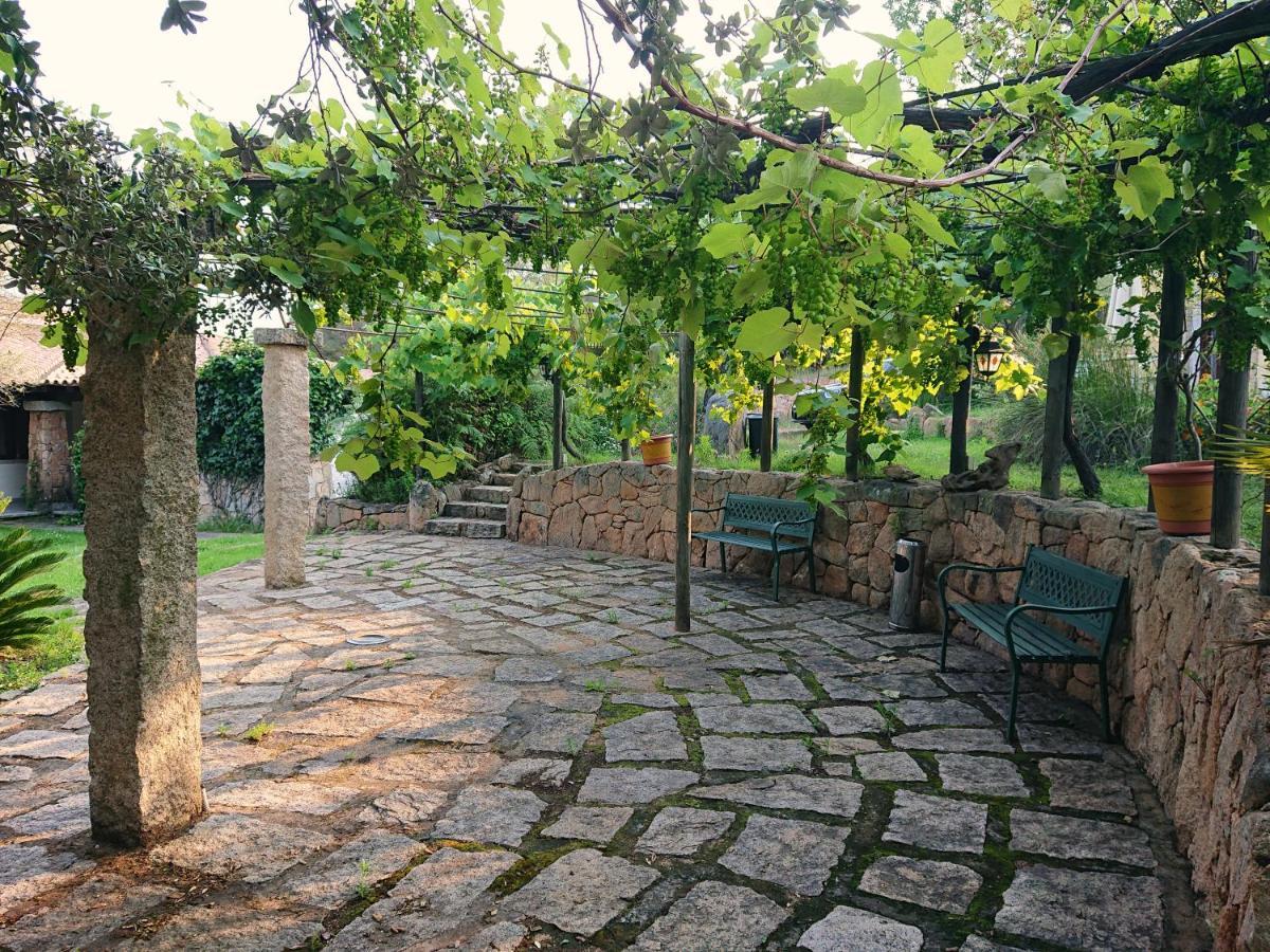 מונטי Agriturismo Desole מראה חיצוני תמונה
