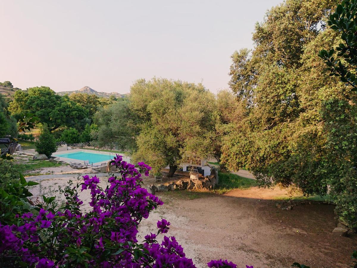 מונטי Agriturismo Desole מראה חיצוני תמונה