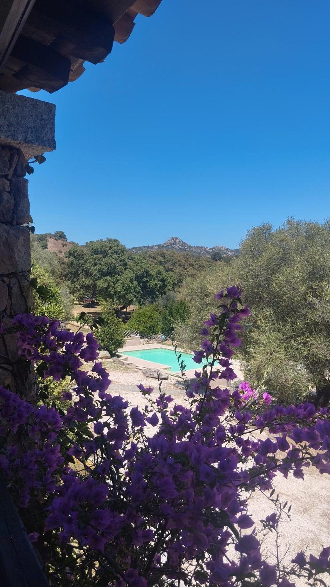 מונטי Agriturismo Desole מראה חיצוני תמונה