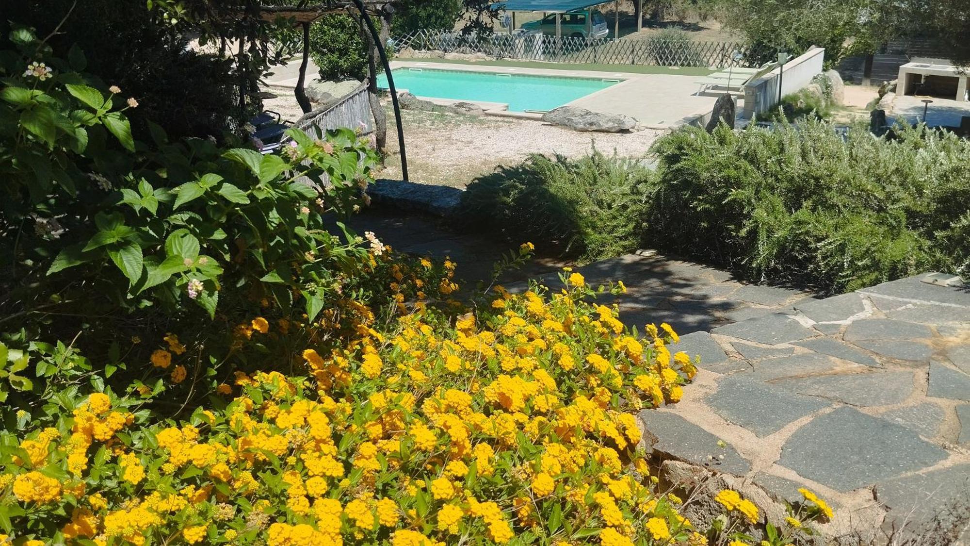 מונטי Agriturismo Desole מראה חיצוני תמונה
